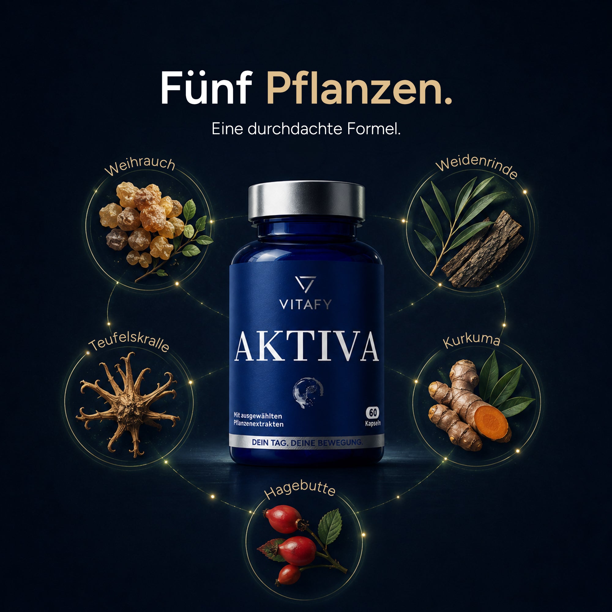 AKTIVA - Knochen und Knorpel Komplex (60 Kapseln)