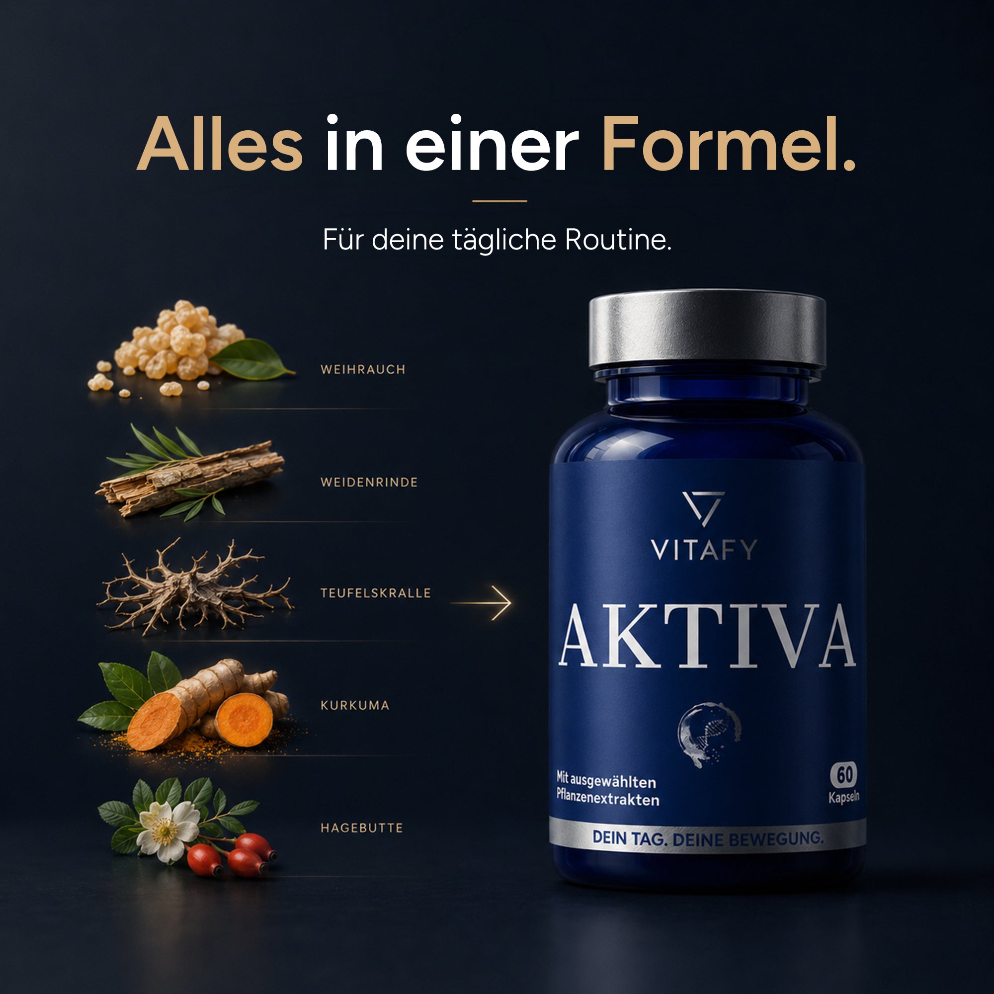 AKTIVA - Knochen und Knorpel Komplex (60 Kapseln)