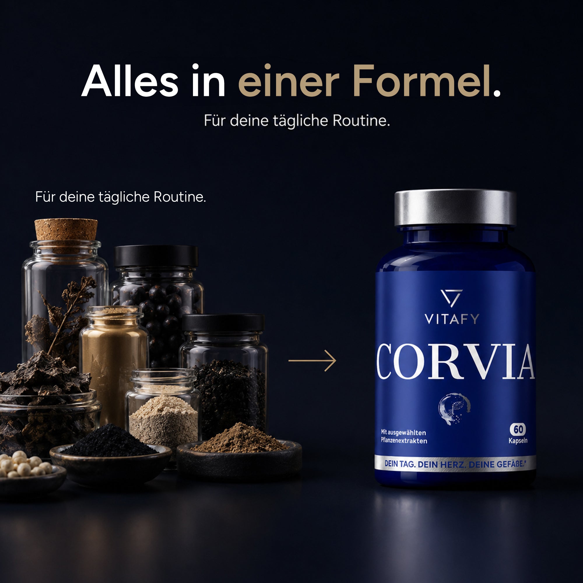 CORVIA - Herz Gefäß Komplex mit schwarzem Knoblauch (60 Kapseln)