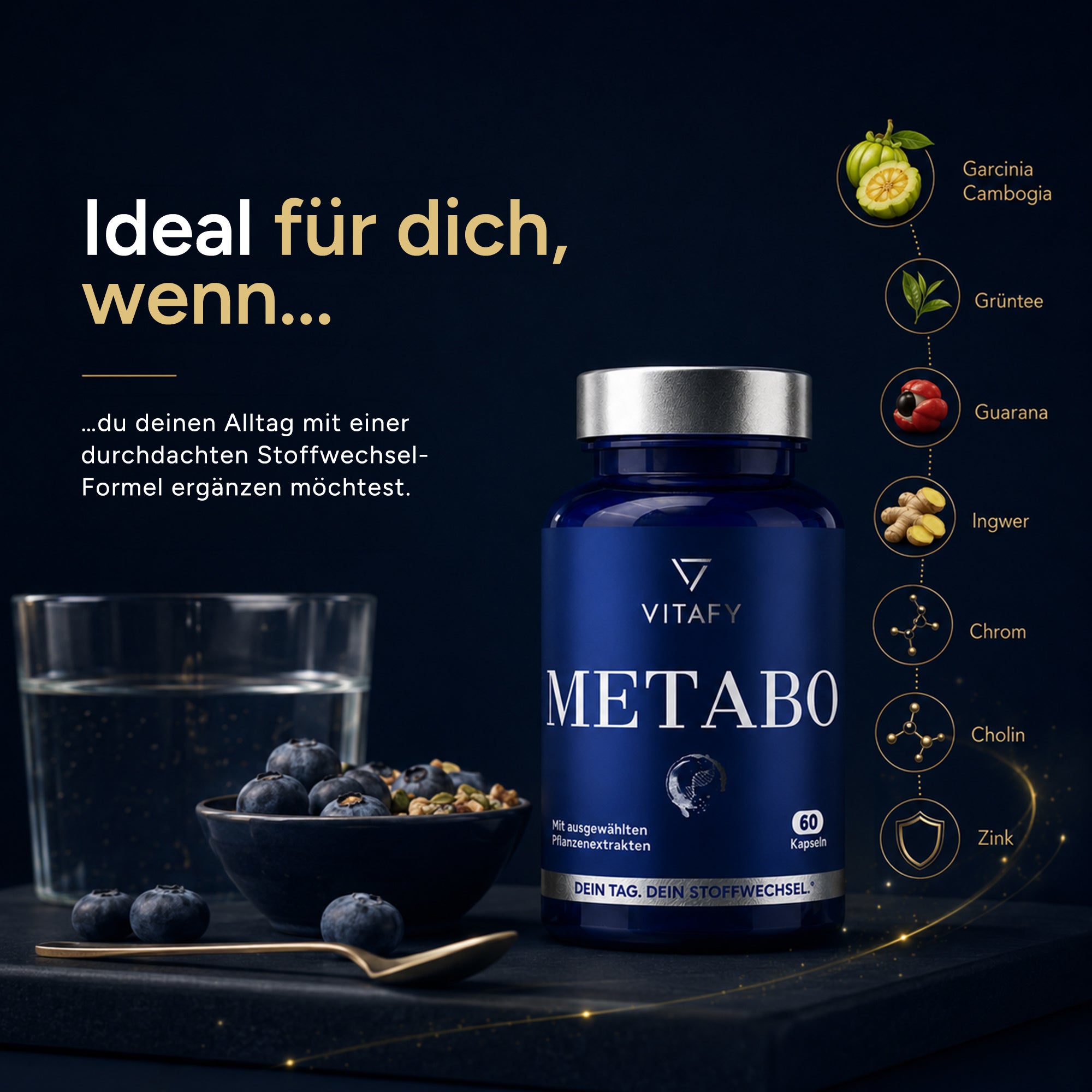 METABO - Stoffwechsel Komplex (60 Kapseln)