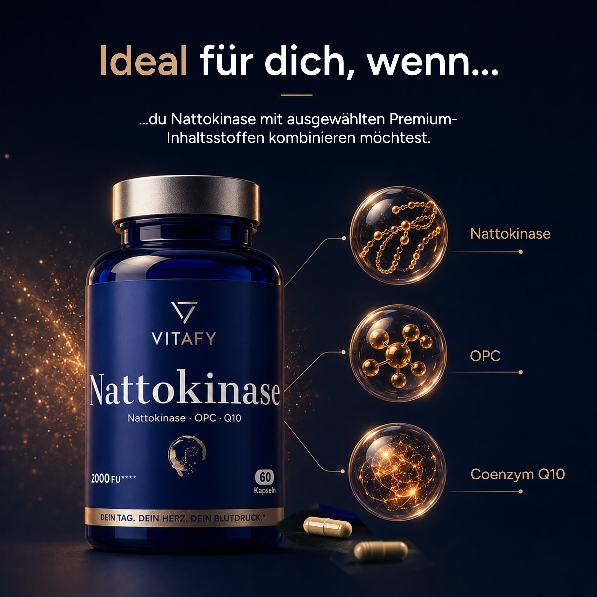 Nattokinase mit OPC und Coenzym Q10 (60 Kapseln)