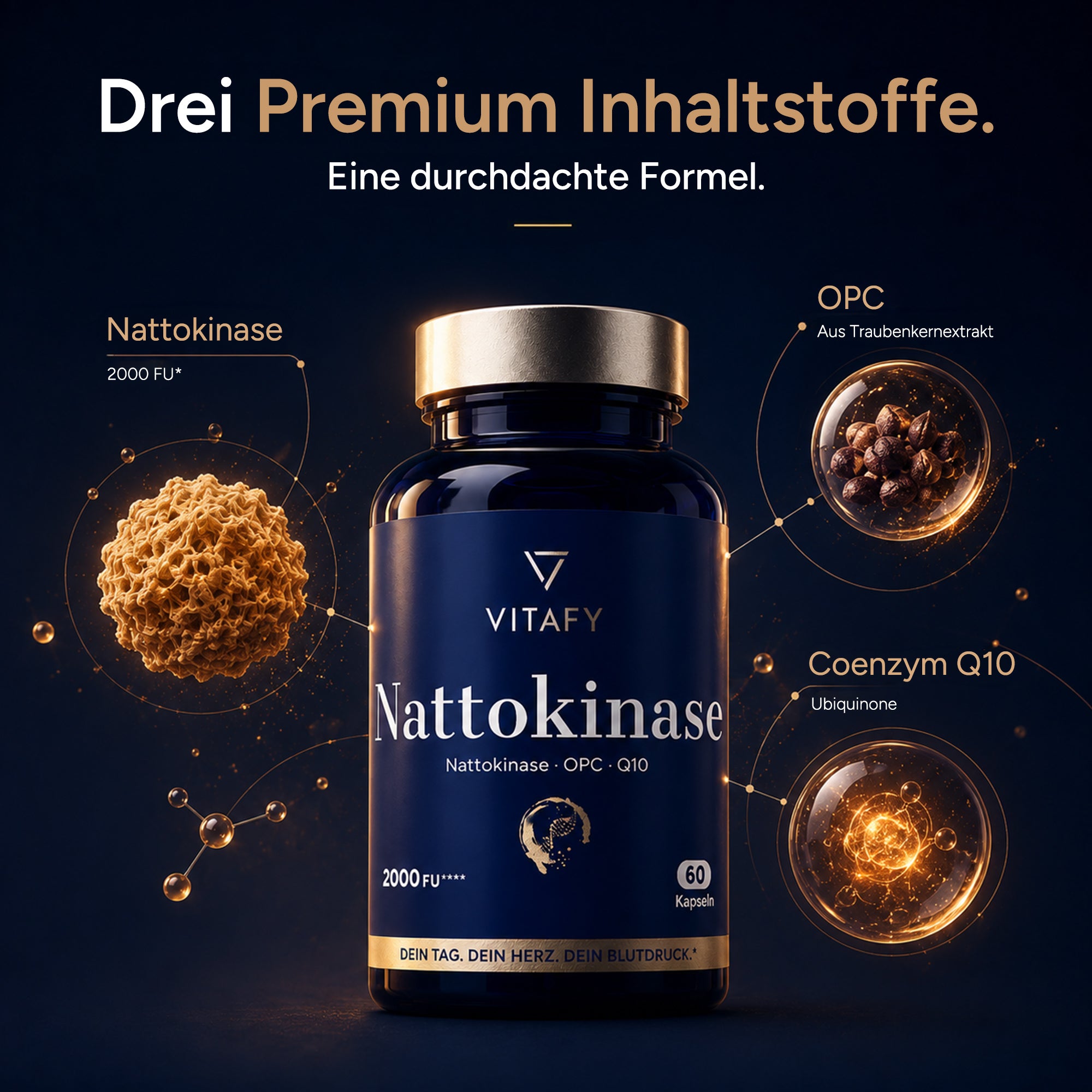 Nattokinase mit OPC und Coenzym Q10 (60 Kapseln)