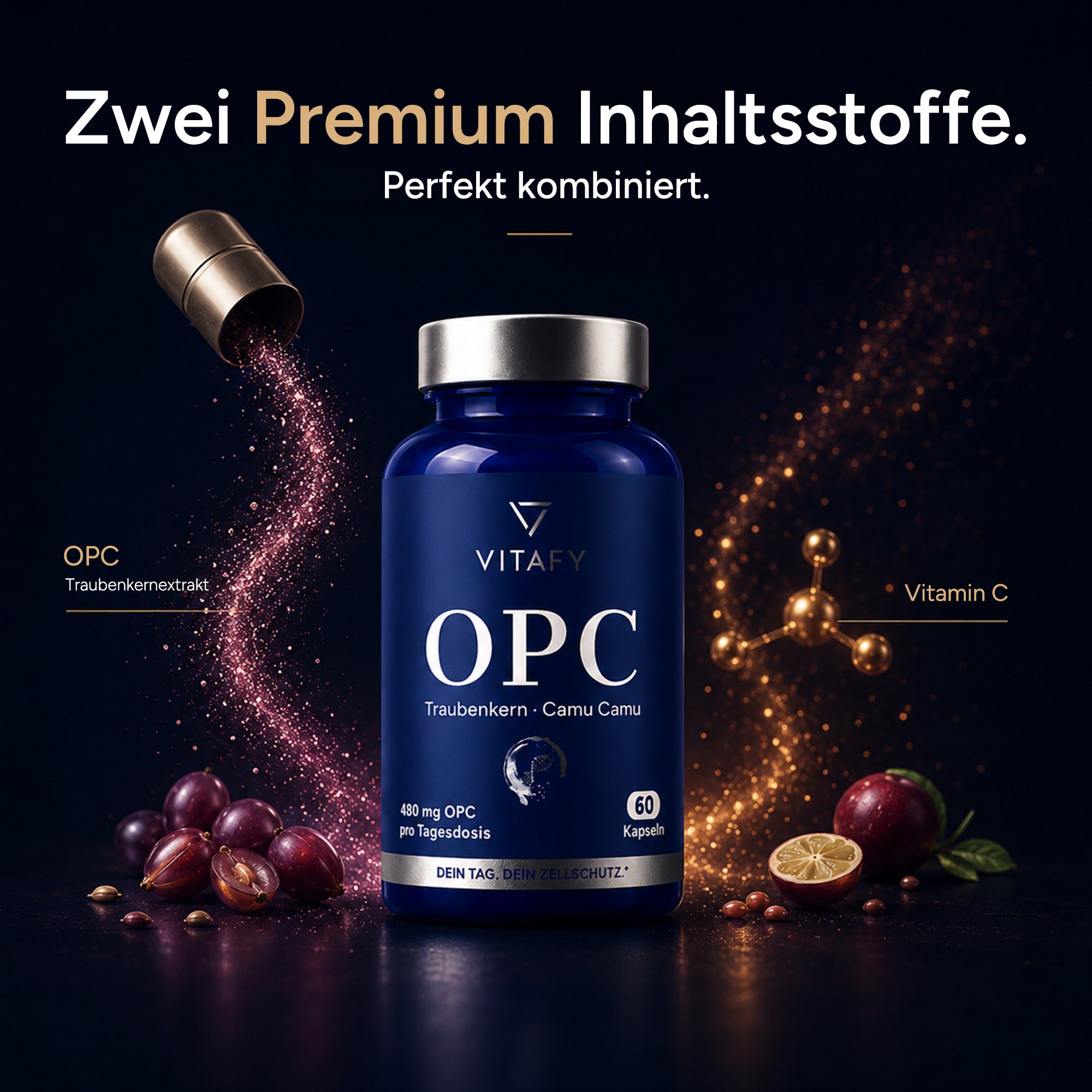 OPC Traubenkernextrakt + Vitamin C (60 Kapseln)
