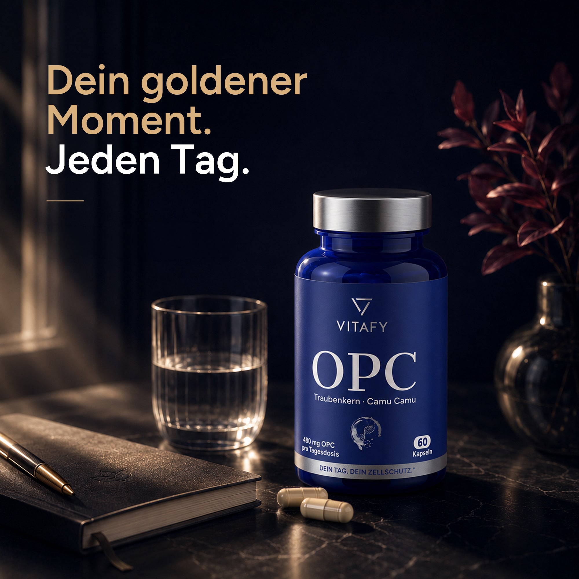 OPC Traubenkernextrakt + Vitamin C (60 Kapseln)
