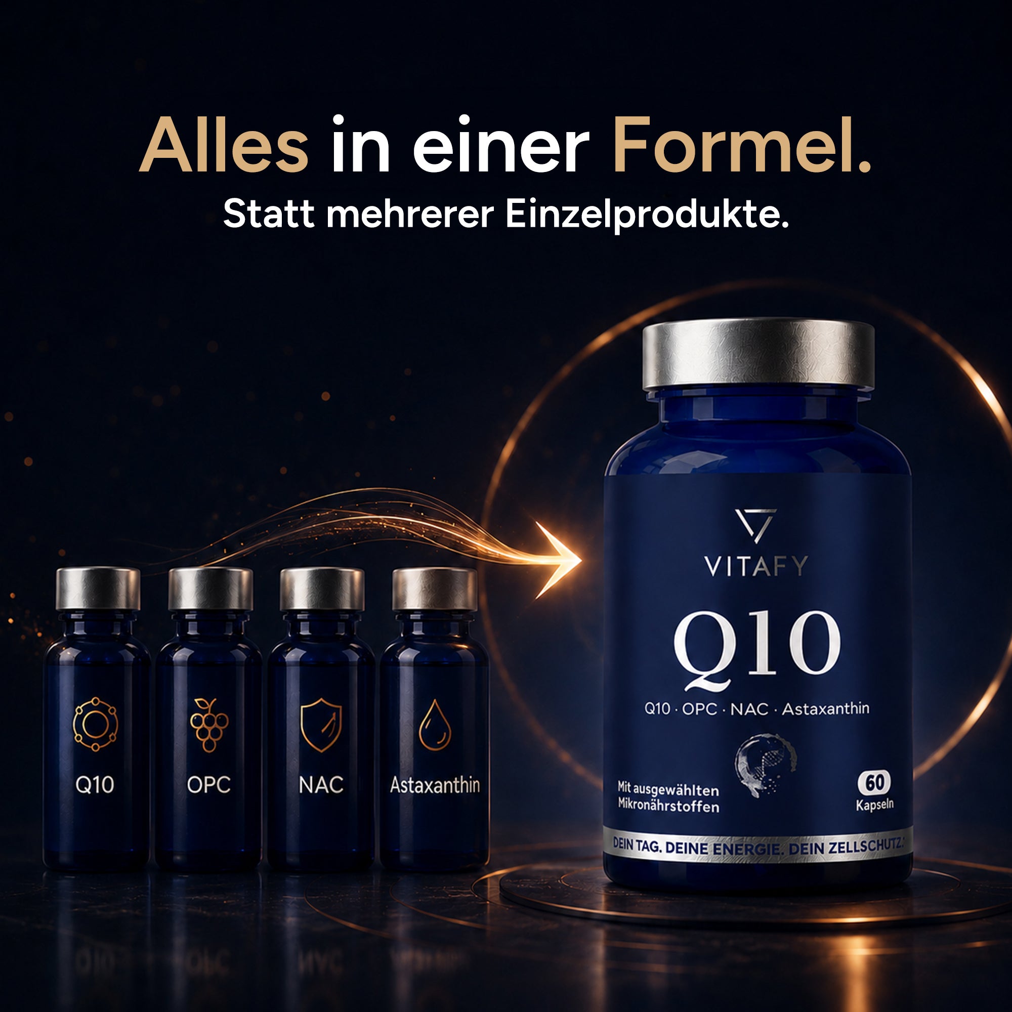 Q10 Zellschutz Komplex mit OPC, NAC und Astaxanthin (60 Kapseln)