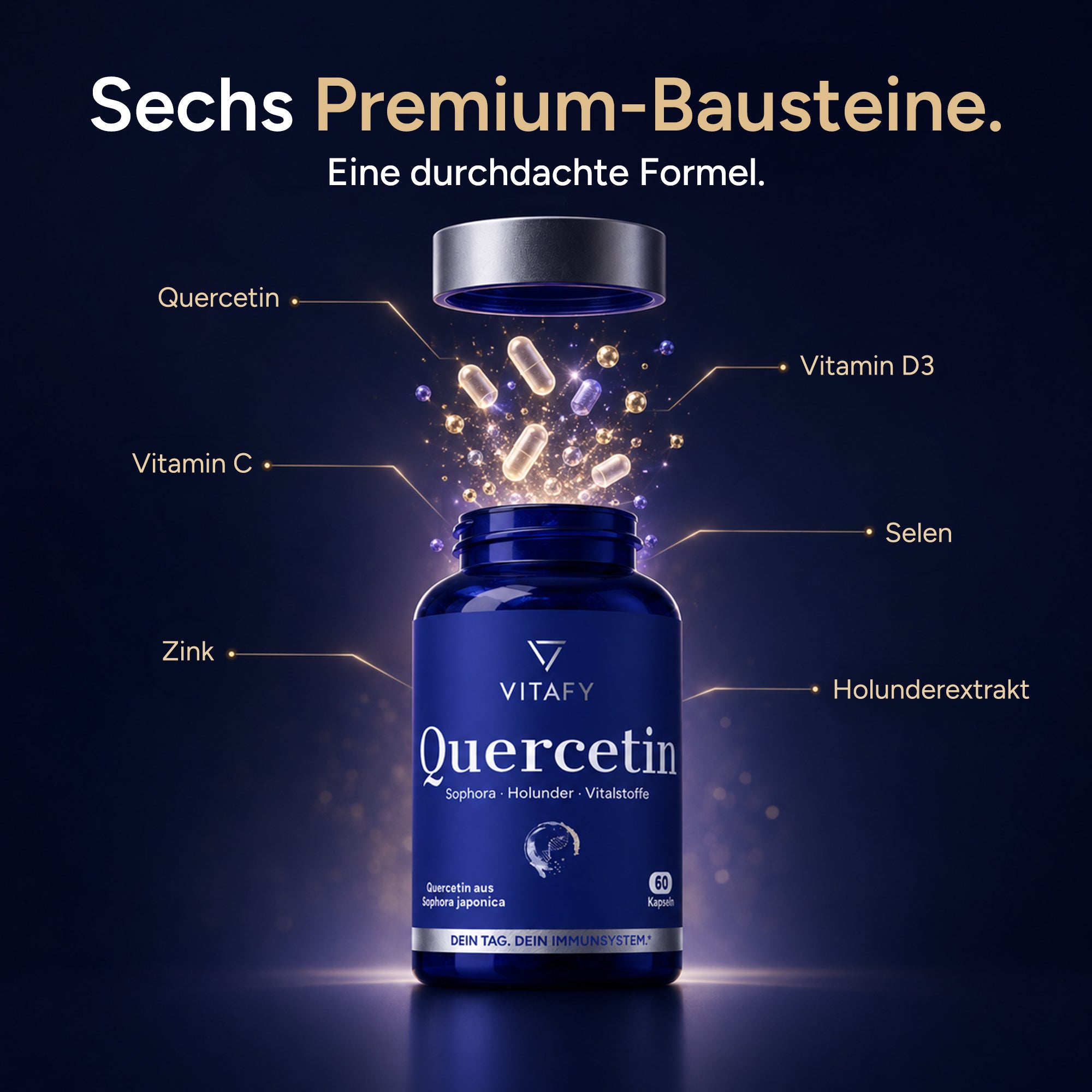 Quercetin Immun Komplex (60 Kapseln)