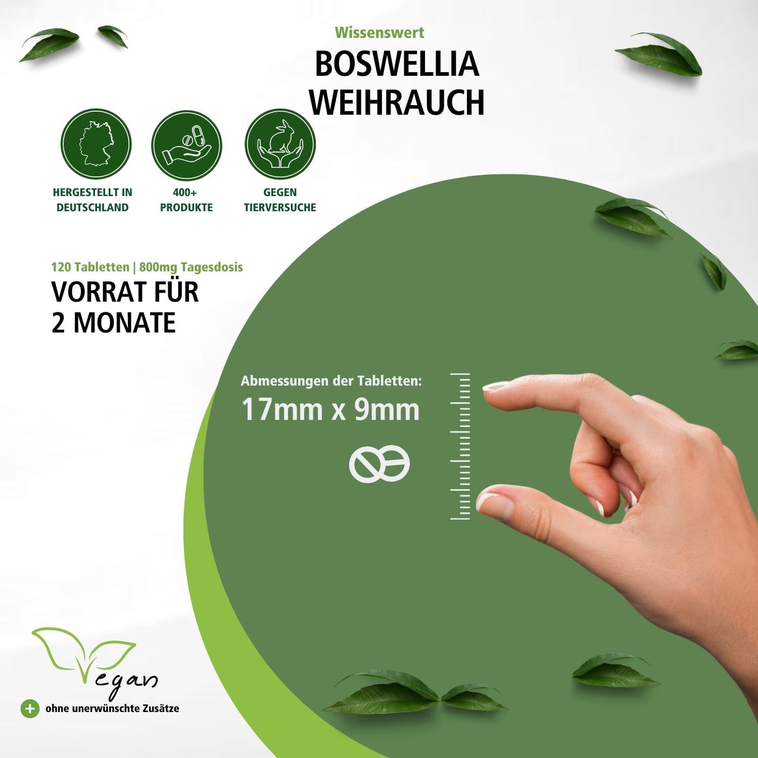 Boswellia (120 Tabletten)