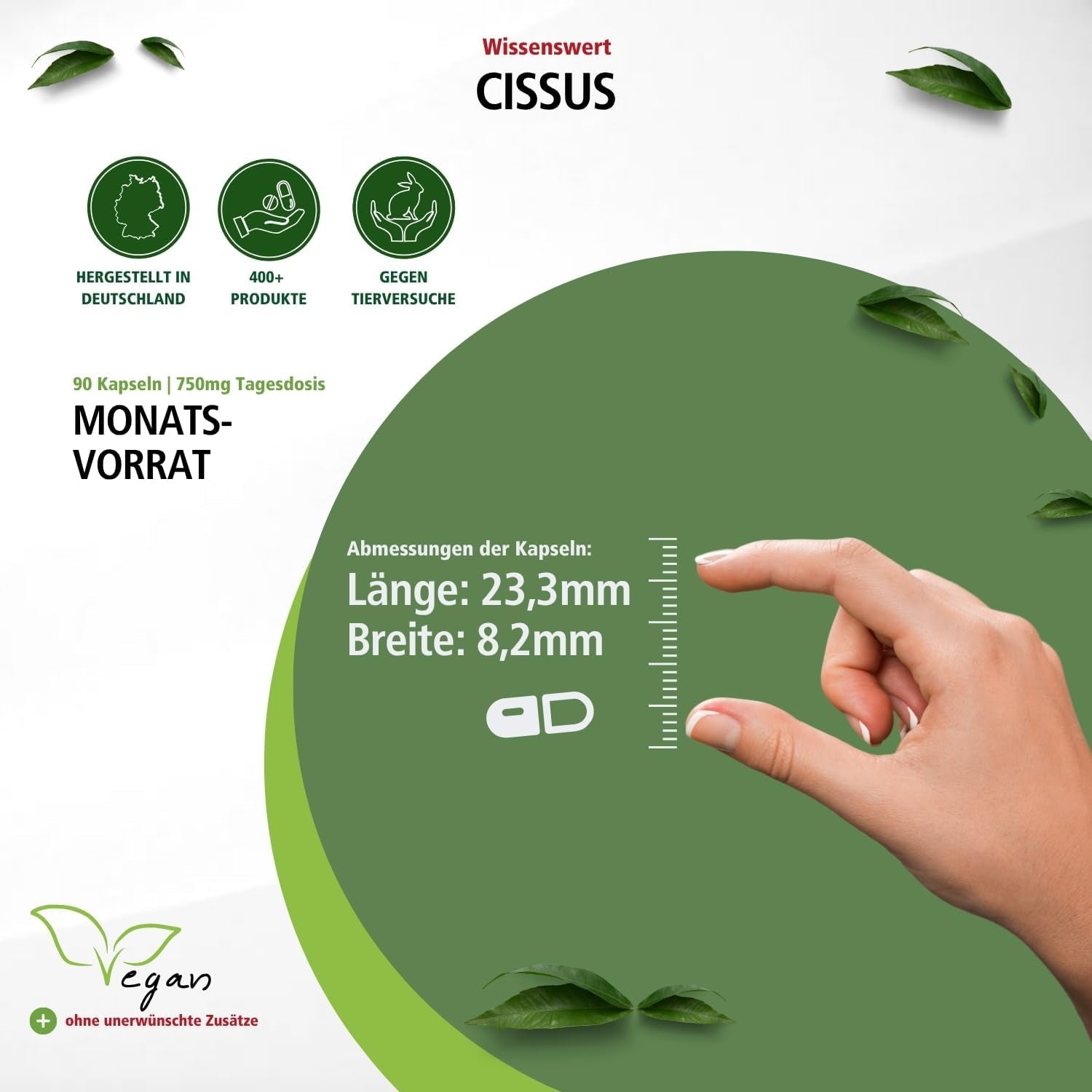 Cissus (90 Kapseln)