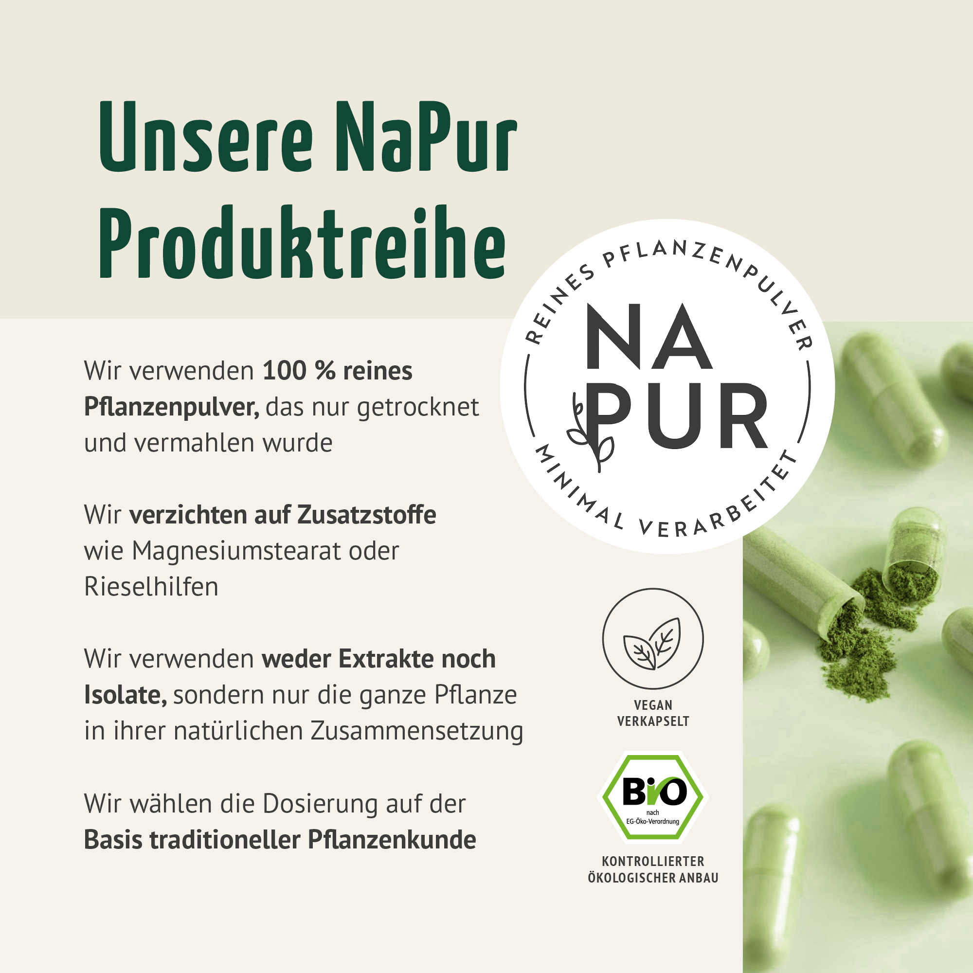 Gerstengras Kapseln Bio (180 Kapseln)
