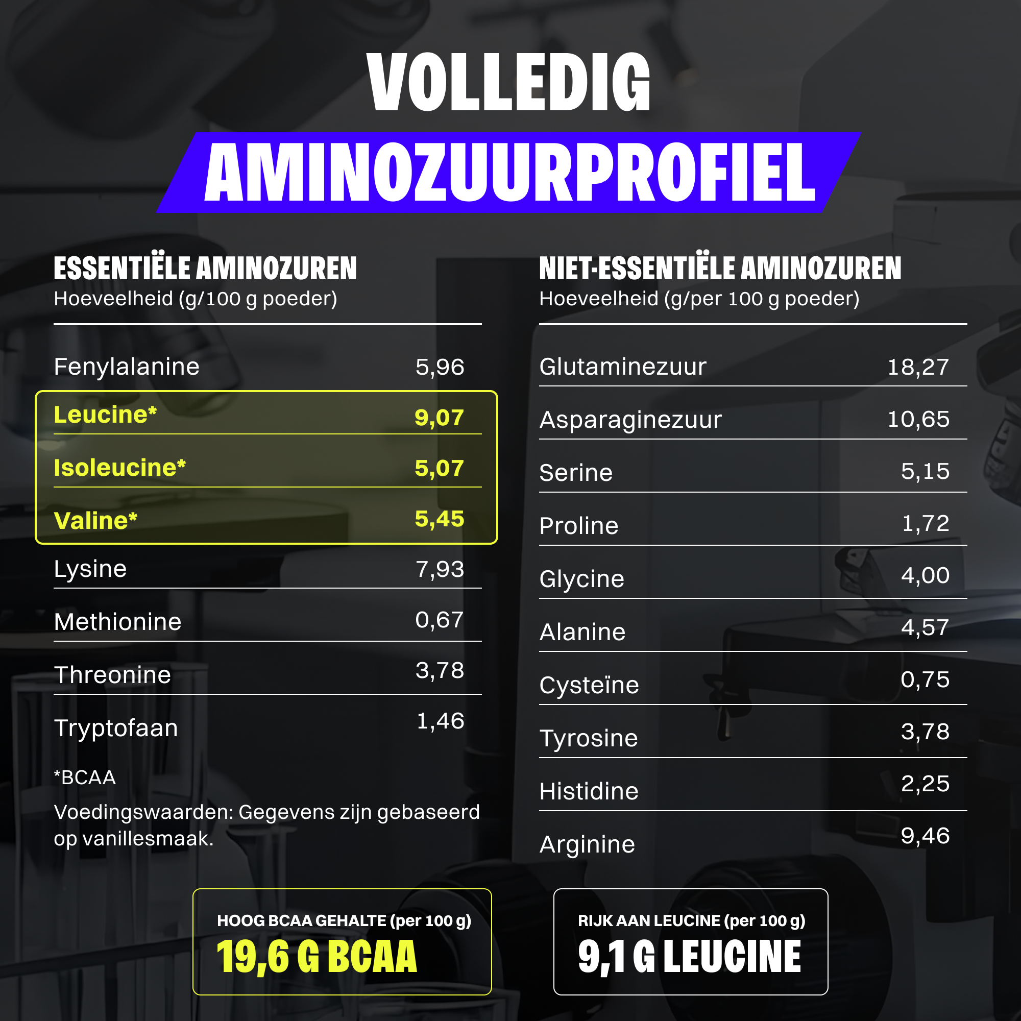 Vegan Protein (1000g)