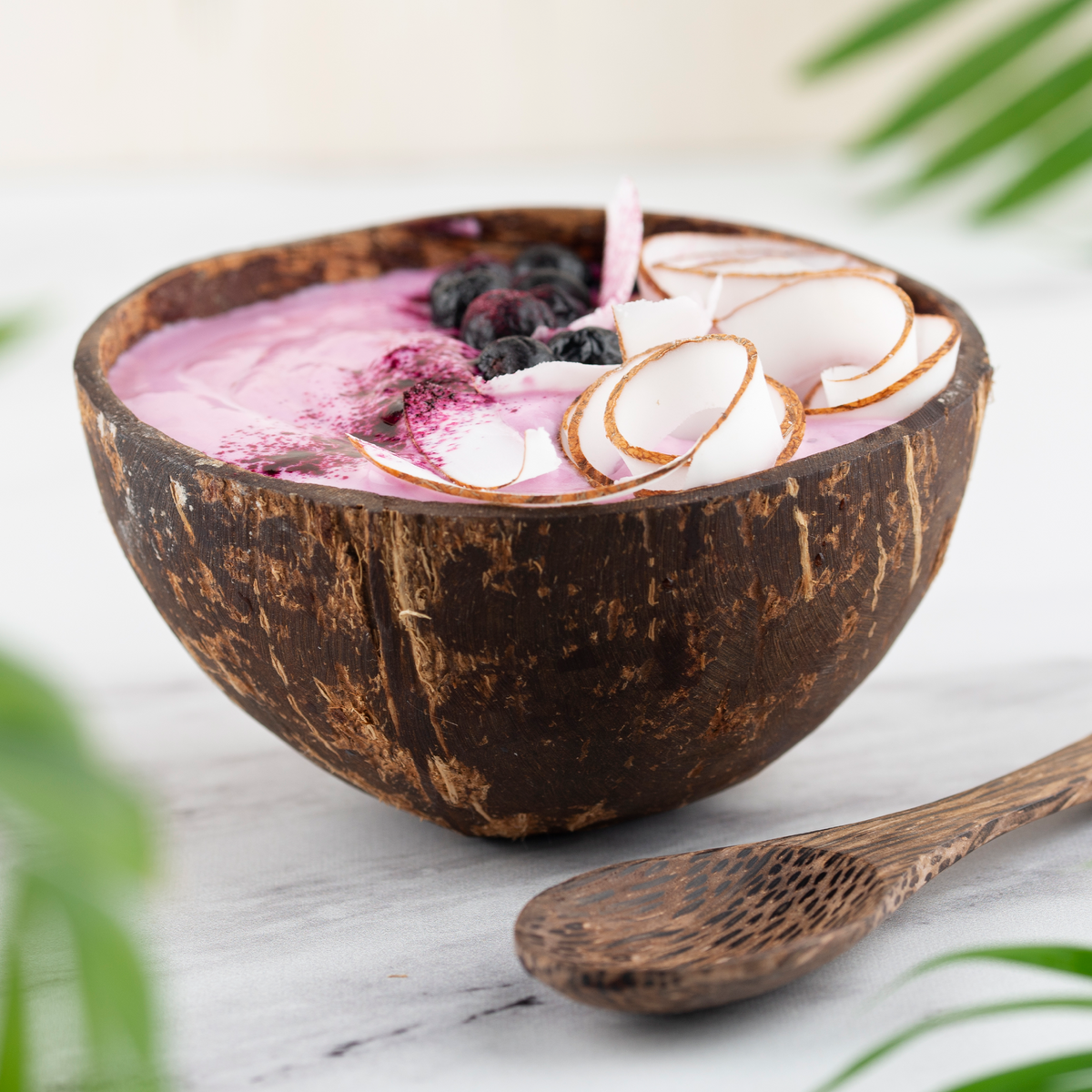 Bio Kokosnussmilch Pulver (250g)