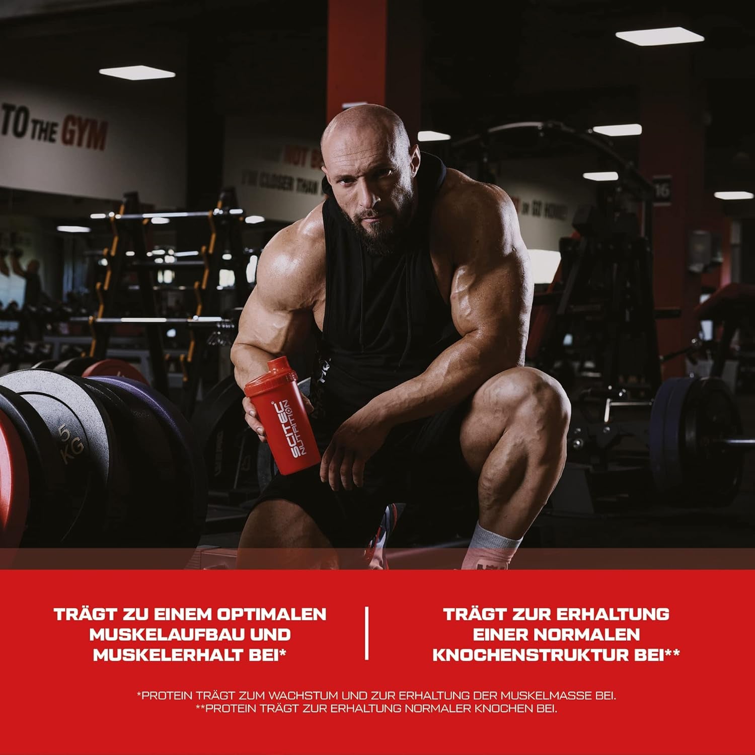 100% Whey Protein Professional (1816g)