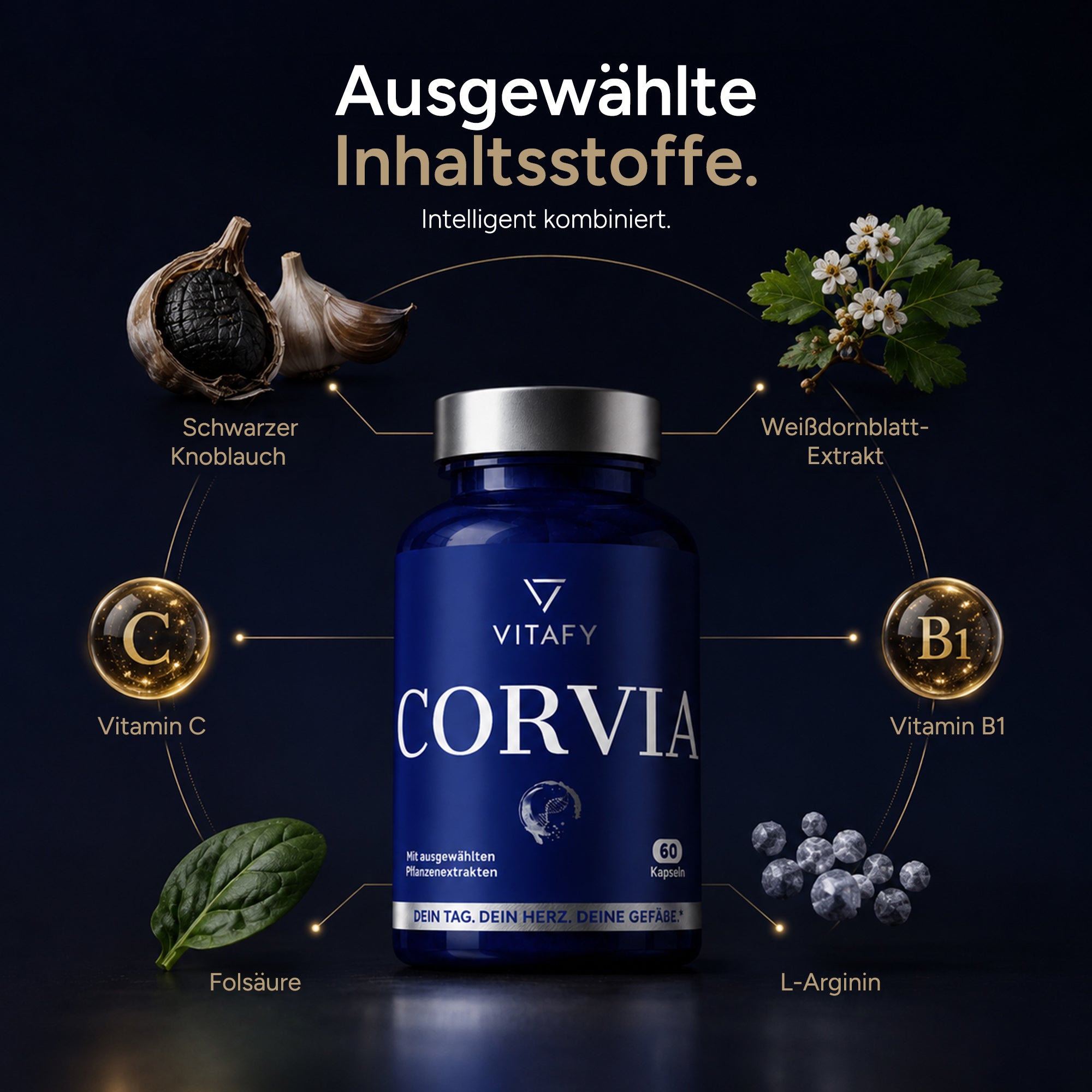 CORVIA - Herz Gefäß Komplex mit schwarzem Knoblauch (60 Kapseln)