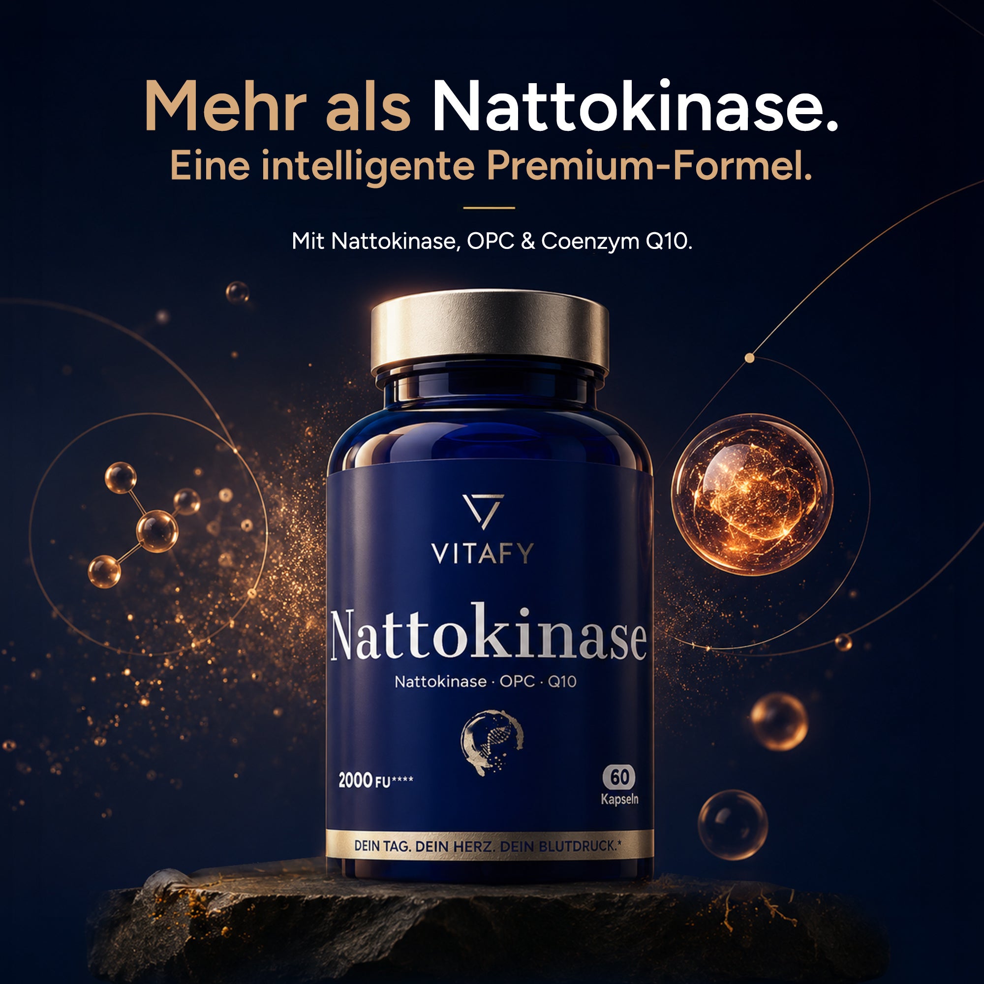 Nattokinase mit OPC und Coenzym Q10 (60 Kapseln)