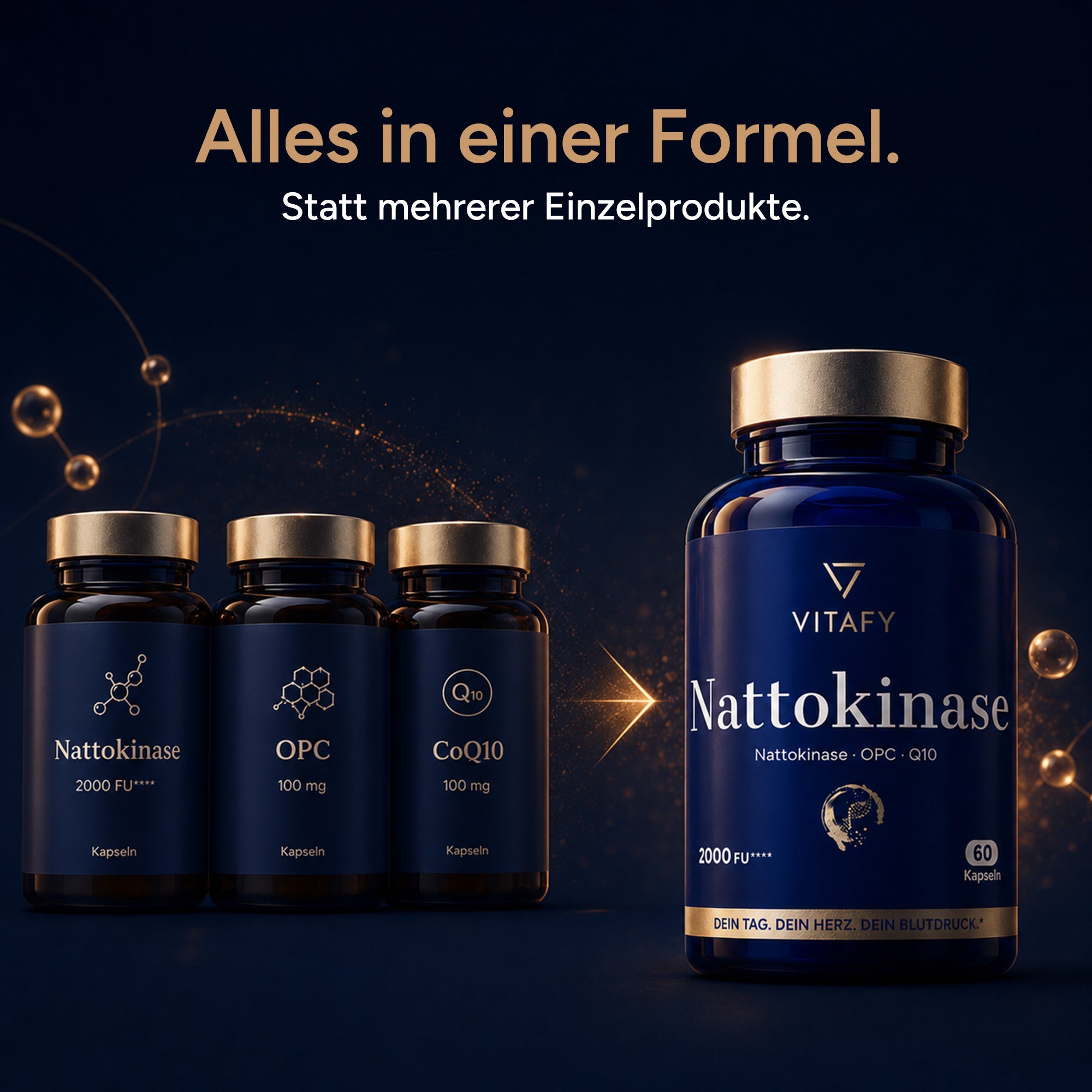 Nattokinase mit OPC und Coenzym Q10 (60 Kapseln)
