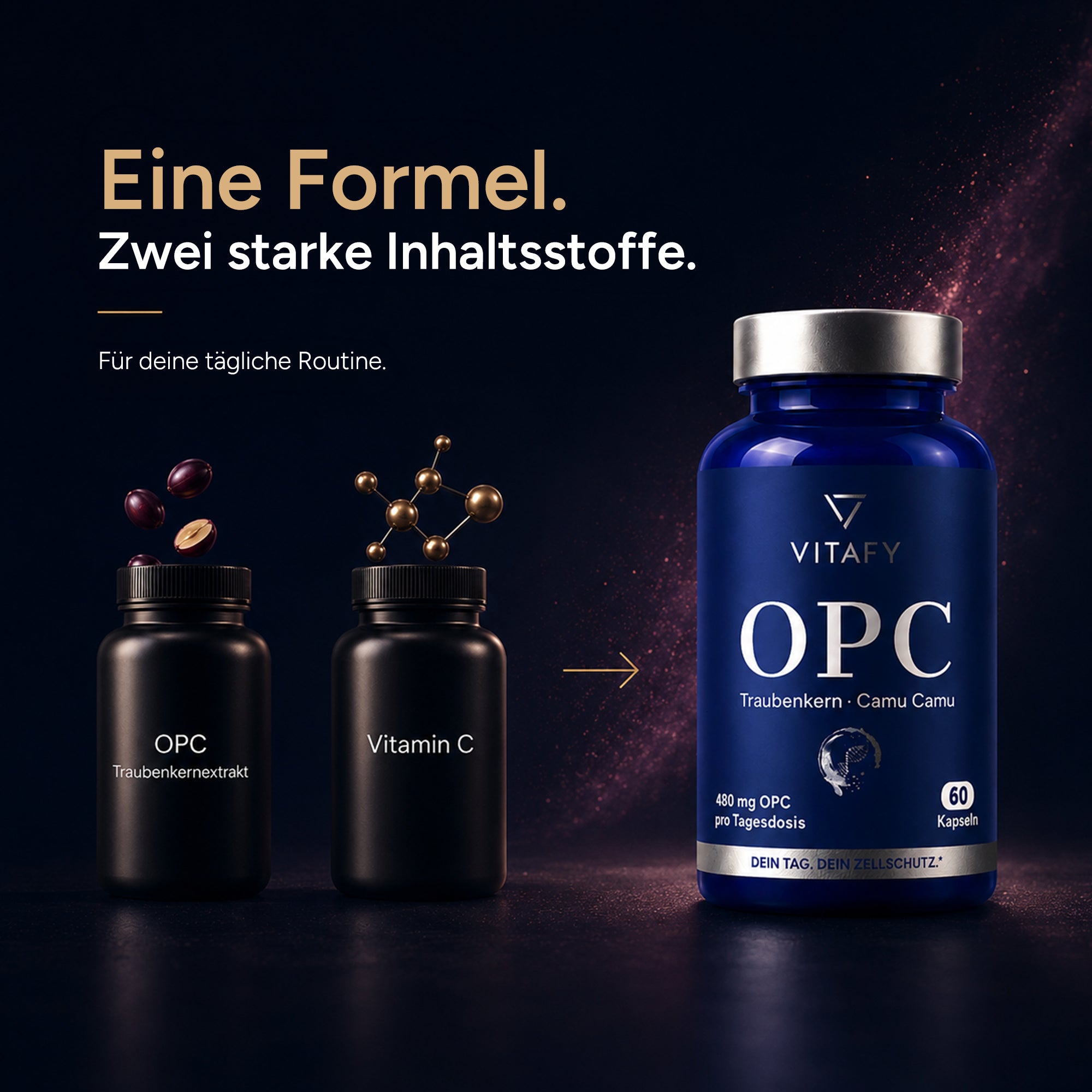 OPC Traubenkernextrakt + Vitamin C (60 Kapseln)