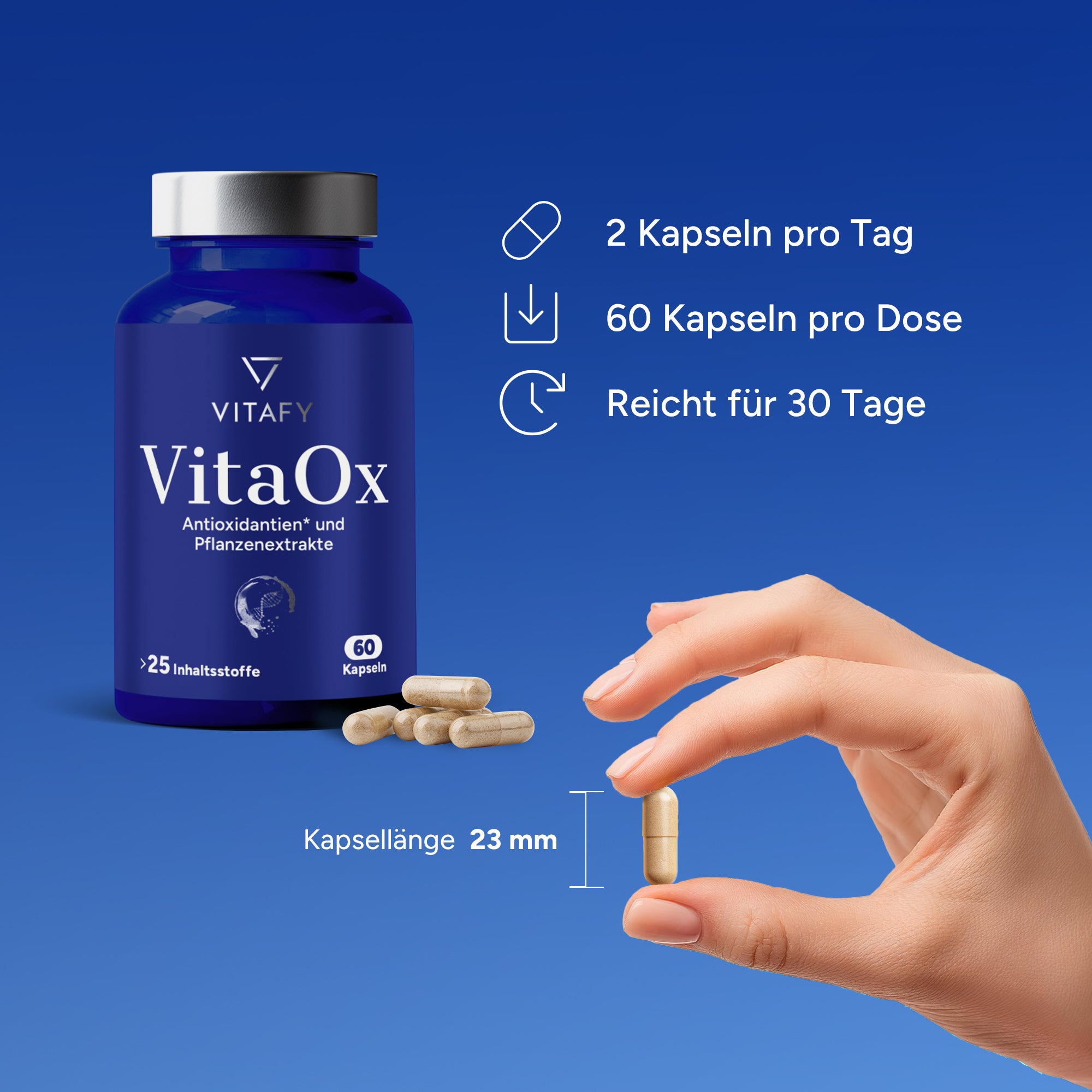 VitaOx Zellschutz Komplex (60 Kapseln)