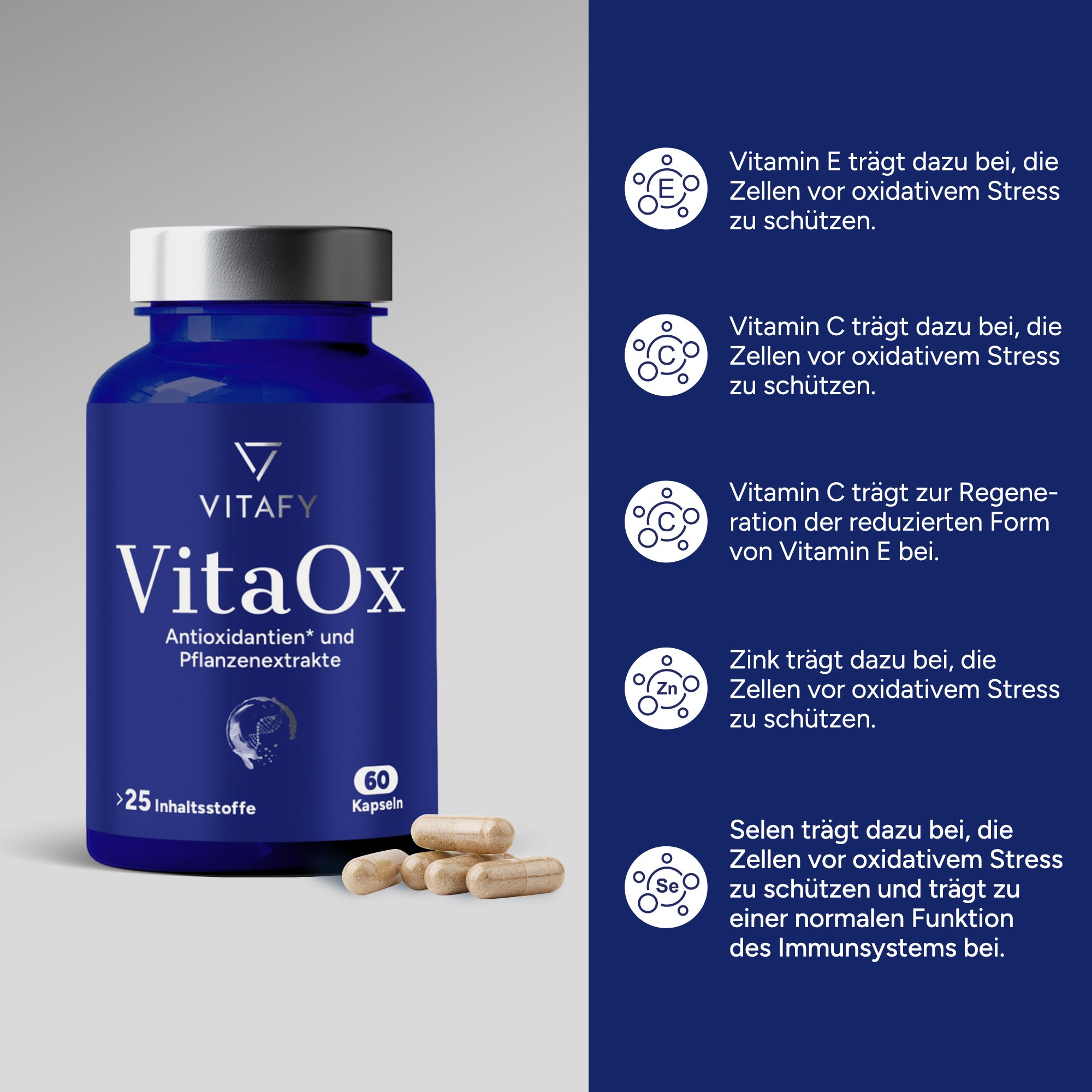 VitaOx Zellschutz Komplex (60 Kapseln)