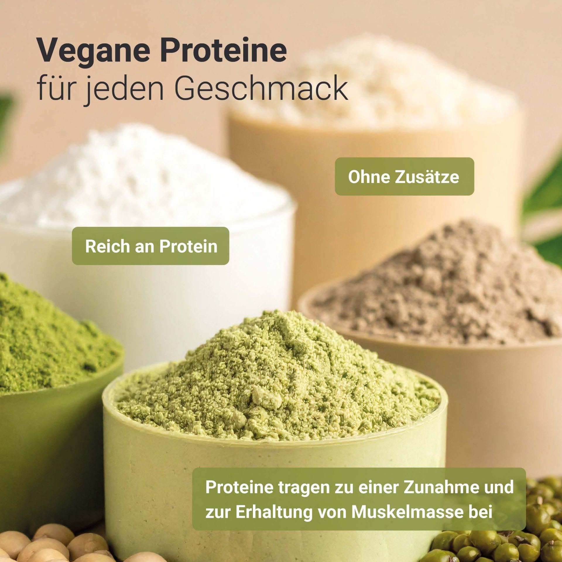 Bio Erbsenprotein Pulver (400g)
