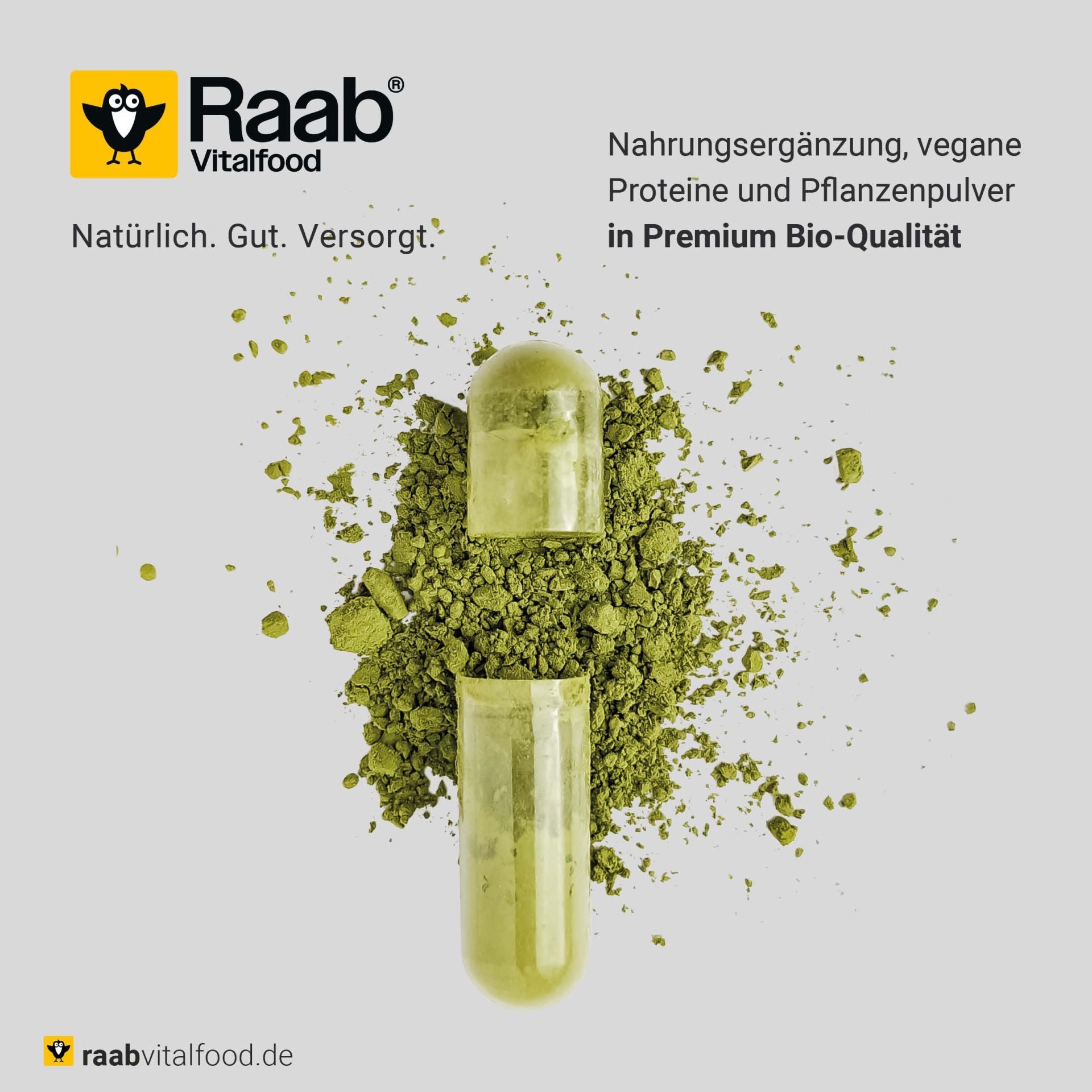 Bio Erbsenprotein Pulver (400g)