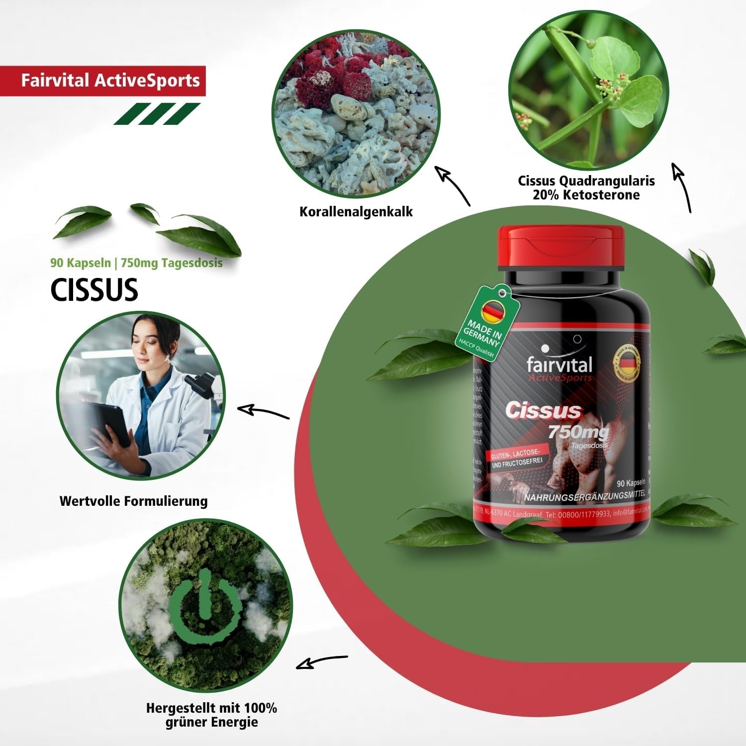 Cissus (90 Kapseln)