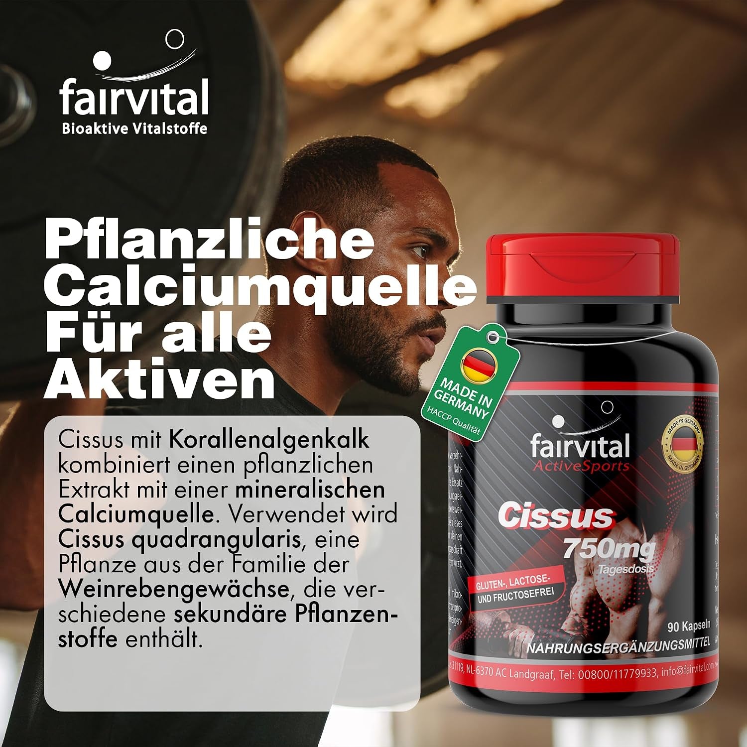 Cissus (90 Kapseln)