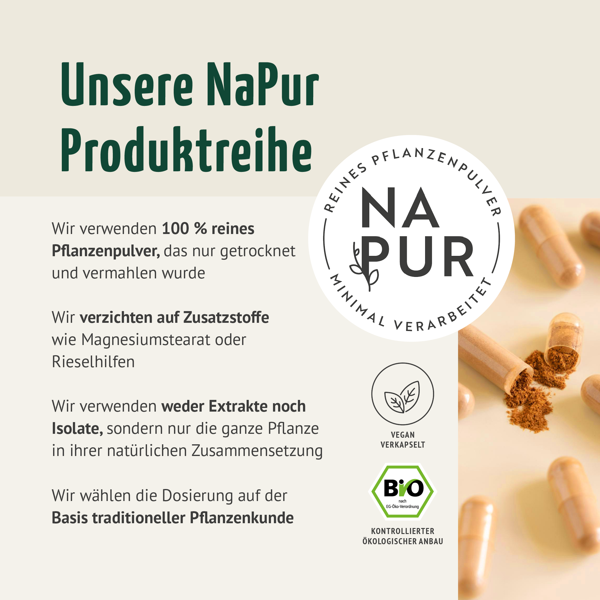 Kurkuma Kapseln Bio (180 Kapseln)