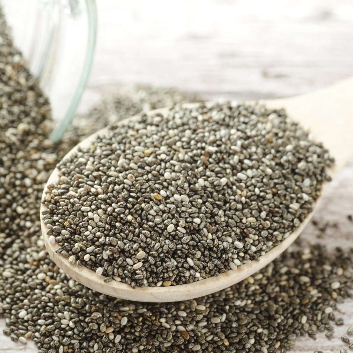 Bio Chiasamen schwarz (500g)