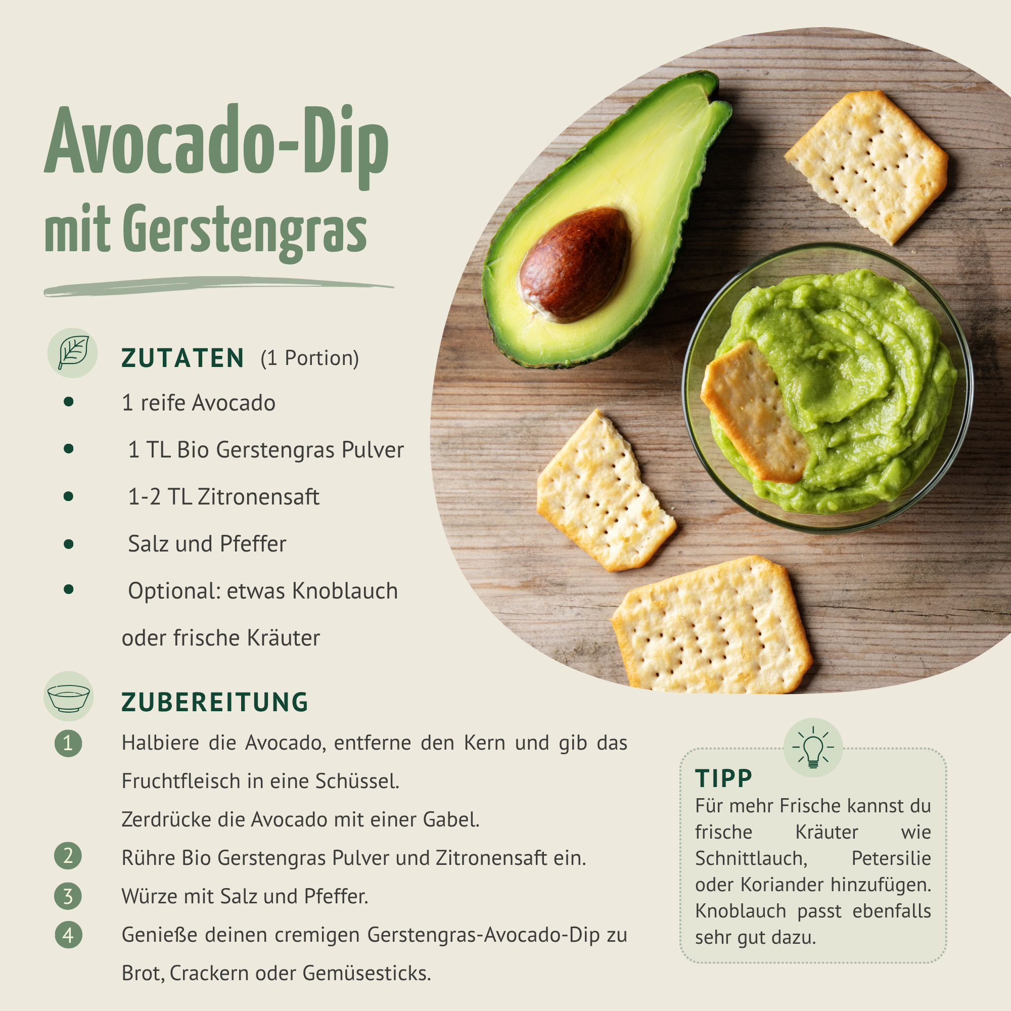Gerstengras Pulver Bio (1000g)