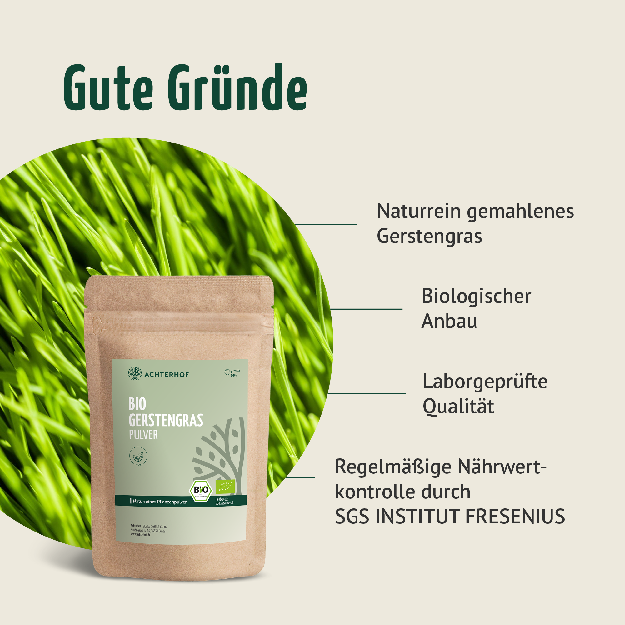 Gerstengras Pulver Bio (500g)