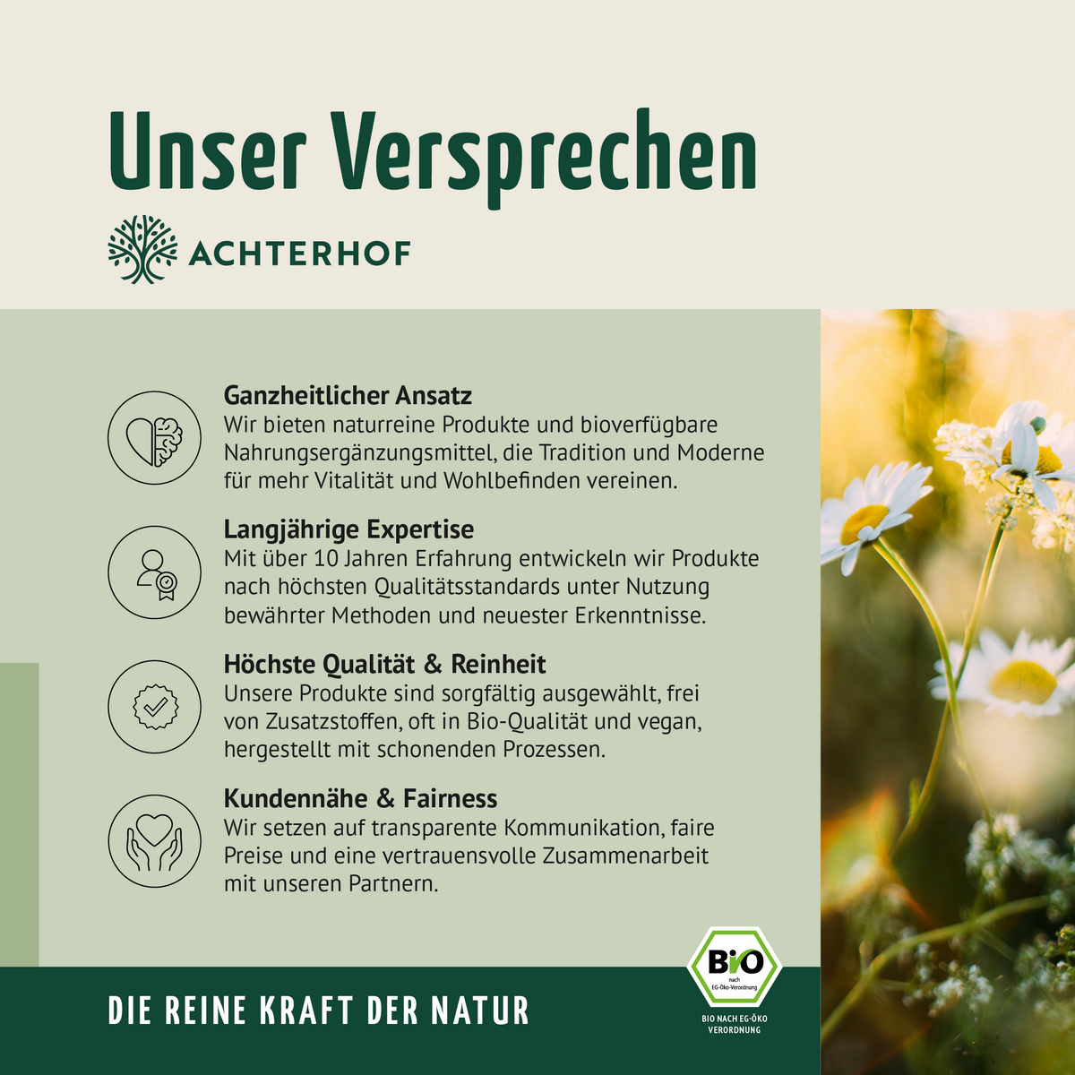 Bio Hagebutten Pulver (50g)