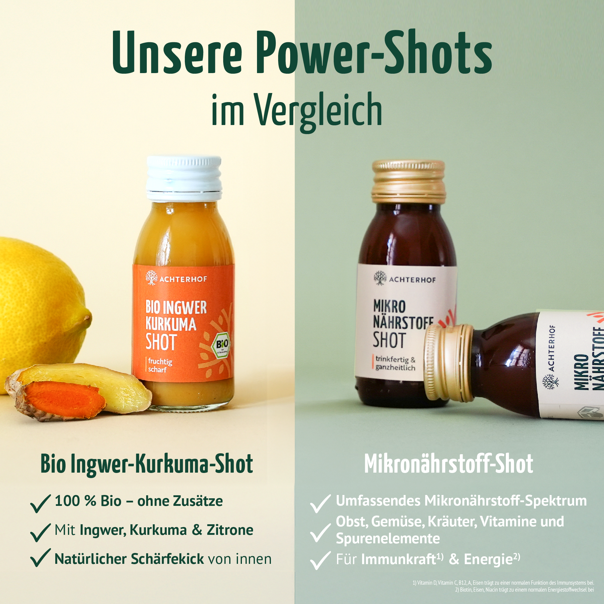 Fastendrinks 6 Flaschen Kräuterwunder Bio