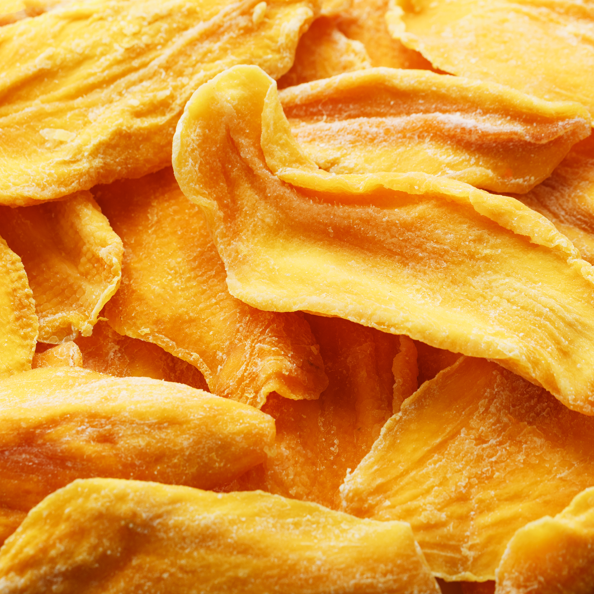 Bio Mangoscheiben gefriergetrocknet (100g)