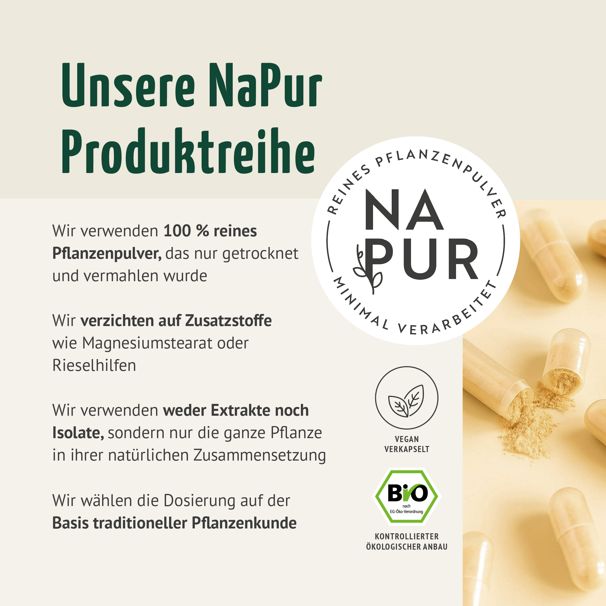 Spermidin Kapseln Bio (180 Kapseln)