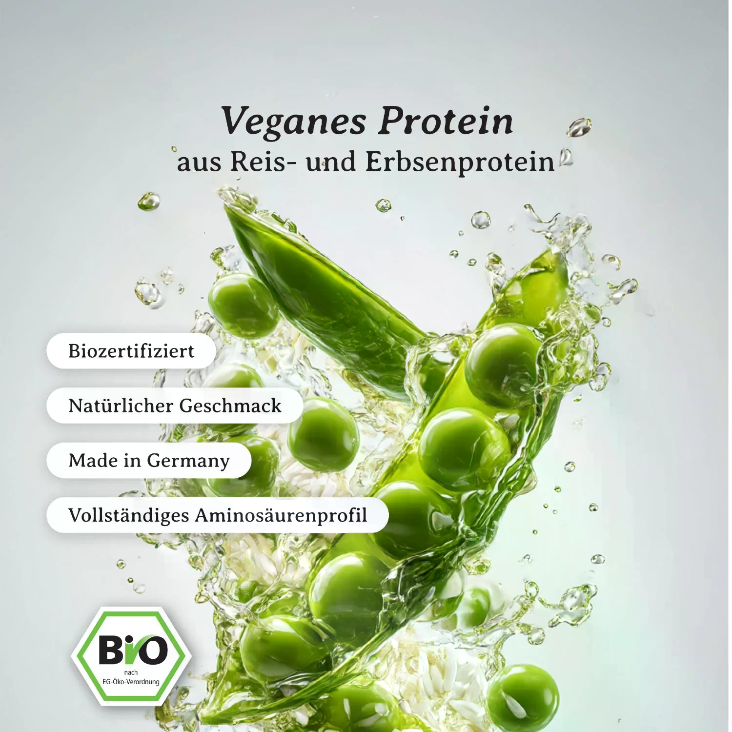 Vegan Protein bio (700g)
